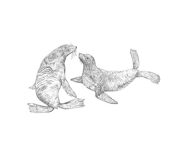 Original Framed - For The Love of Seals