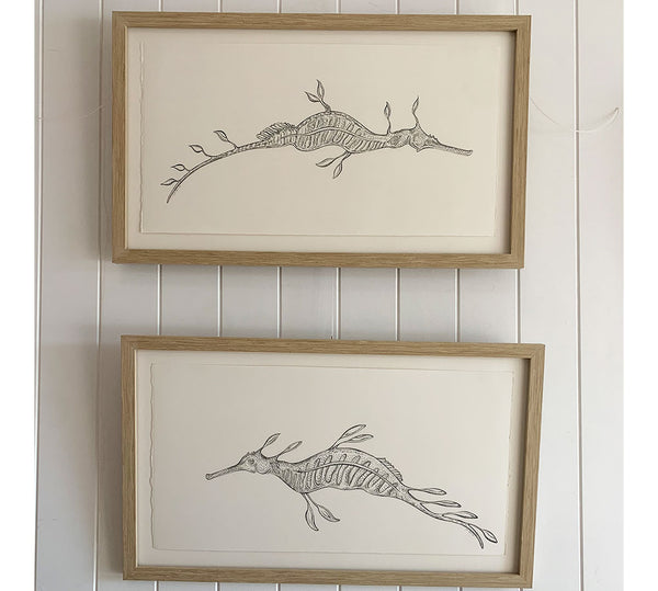 Original Framed - Weedy Sea Dragons 1