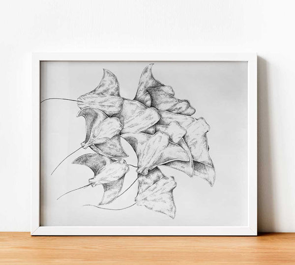 Flying Cownose Rays Paper Print