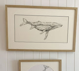 Original Framed - Humpback Whale Mum & Calf Bond Like No other