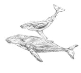 Original Framed - Humpback Whale Mum & Playful Calf