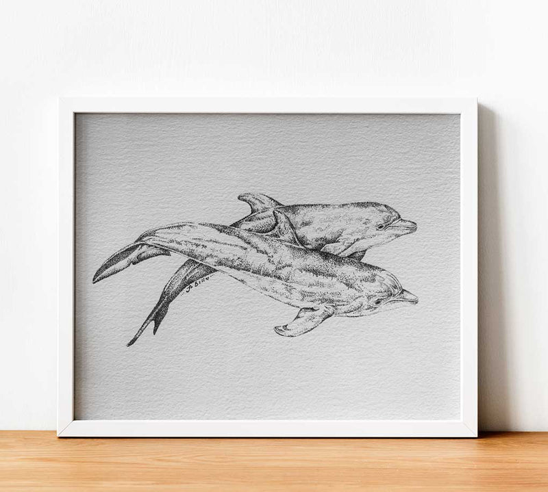 Ocean Love Art Sydney artist Jo Bell dolphins paper print