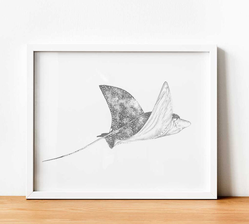 Flying Spotted Eagle Ray Paper Print
