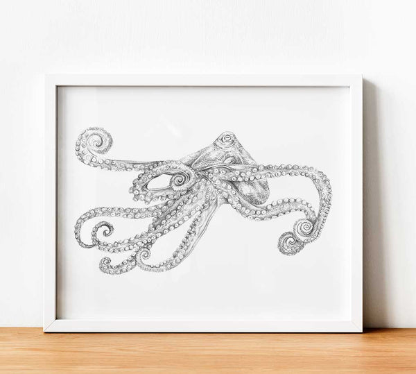 Octopus Paper Print