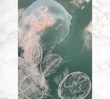 Ocean Love Art Jo Bell dancing moon jellyfish series new 6 original artwork Northern Beaches artist Sydney