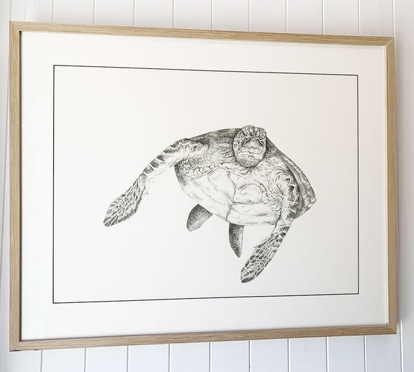 Ocean Love Art Jo Bell Northern Beaches art Grumpy turtle original art framed 