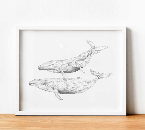 Humpback Whales Paper Print