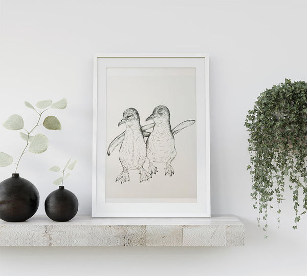 Little (Fairy) Penguin Duo Paper Print