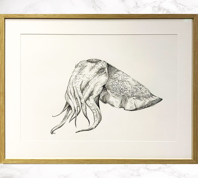 Giant cuttlefish original artwork framed Ocean Love Art Sydney Australia