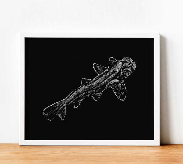 Ocean Love Art Sydney Port jackson shark paper print artwork wall art black & white drawing