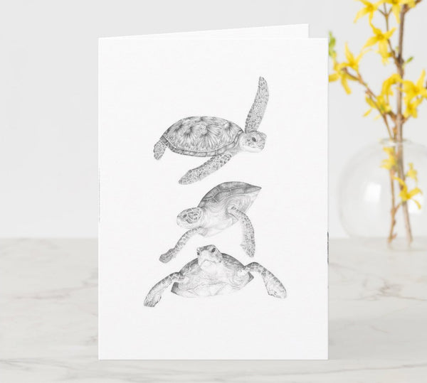 Greeting Card - 3 turtles